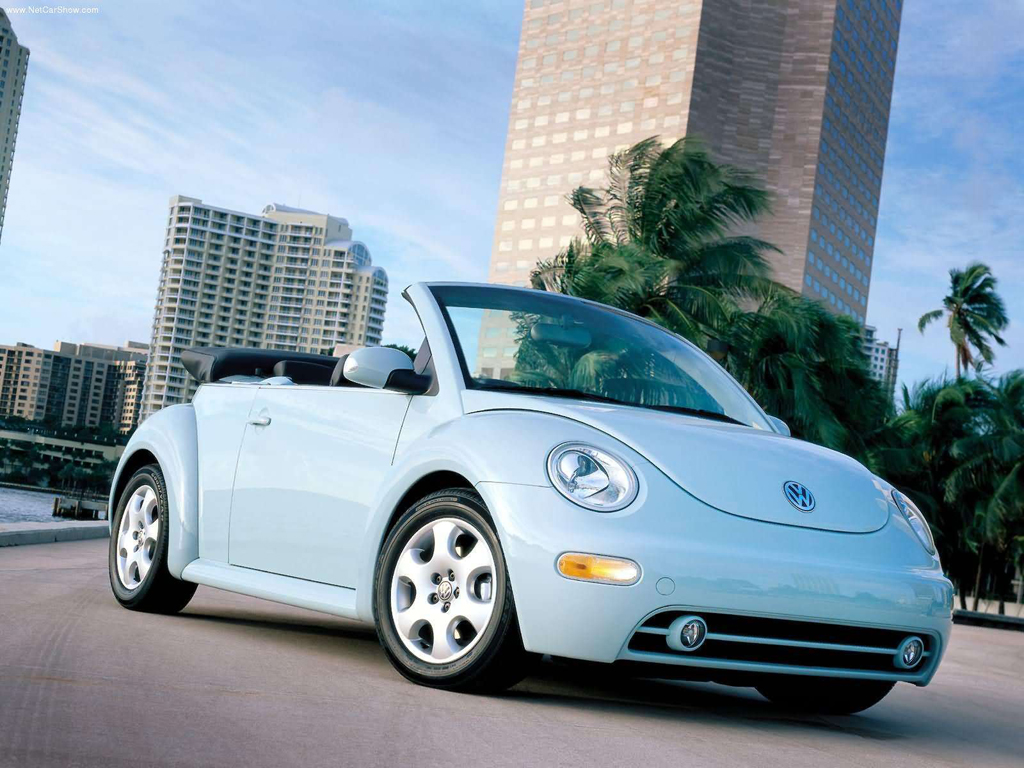 Volkswagen New Beetle 2004 L annuel de l automobile